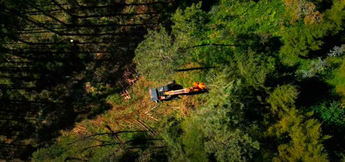 Pioneros de Mass Madera impulsan una visión bioregional en Lugo