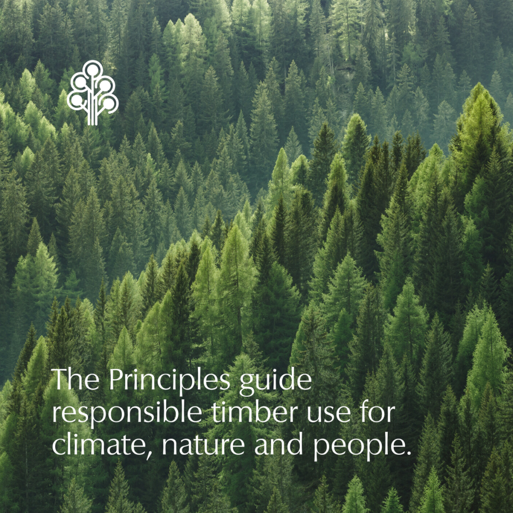 España respalda los Principios para la Construcción Responsable en Madera: un avance decisivo para el futuro del sector